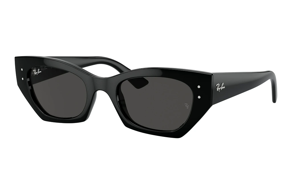 Ray-Ban   RB4430 667787 Dark GreyBlack